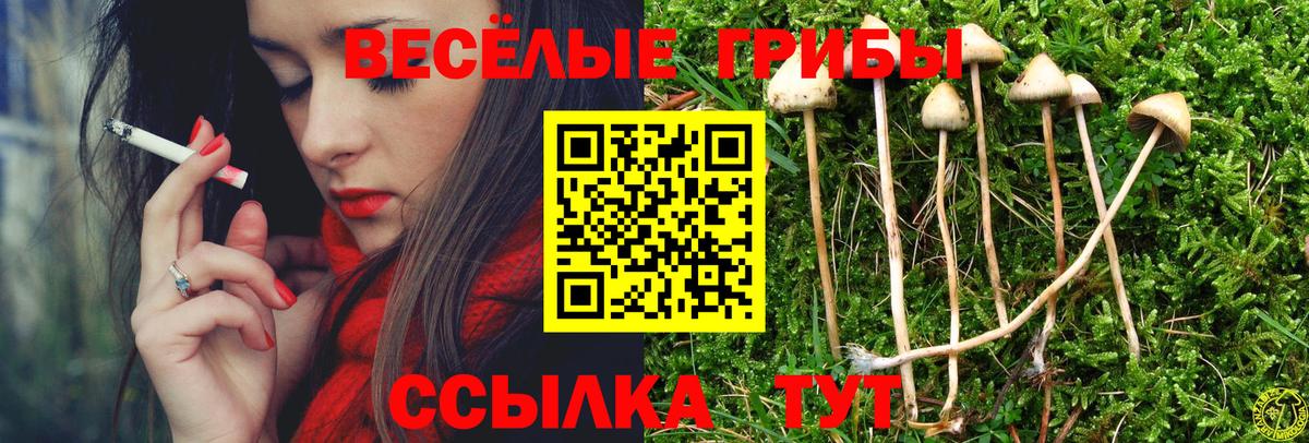 Псилоцибиновые грибы Psilocybine cubensis  Вход с VPN  Магнитогорск 