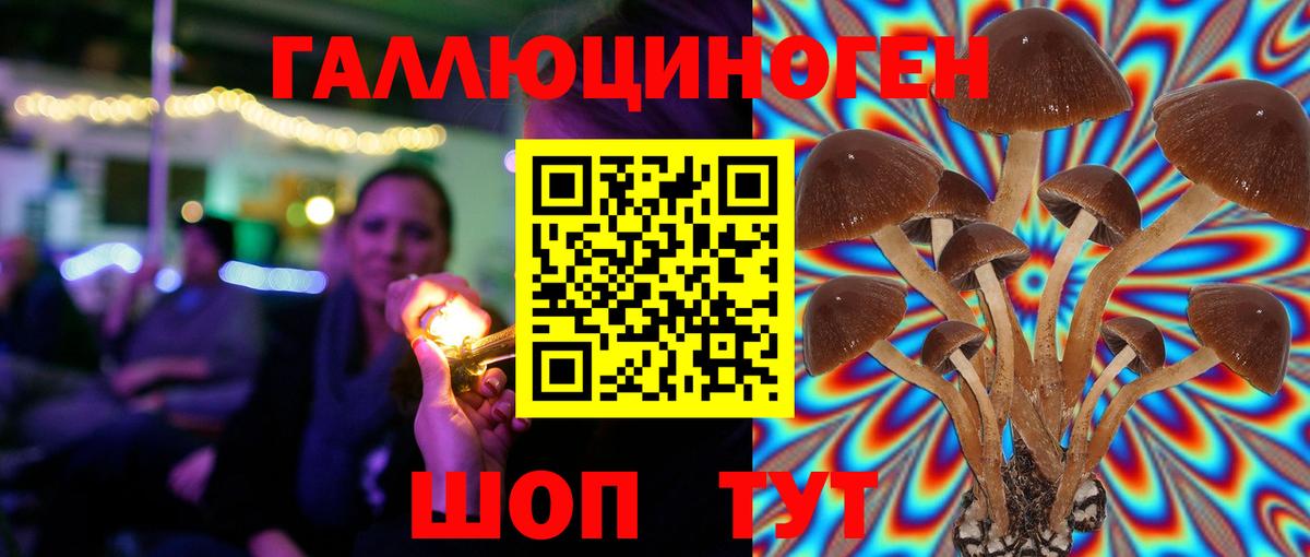 Псилоцибиновые грибы мухоморы Магнитогорск